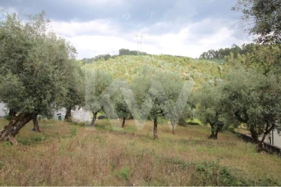 Terreno para Venda em Brasfemes
