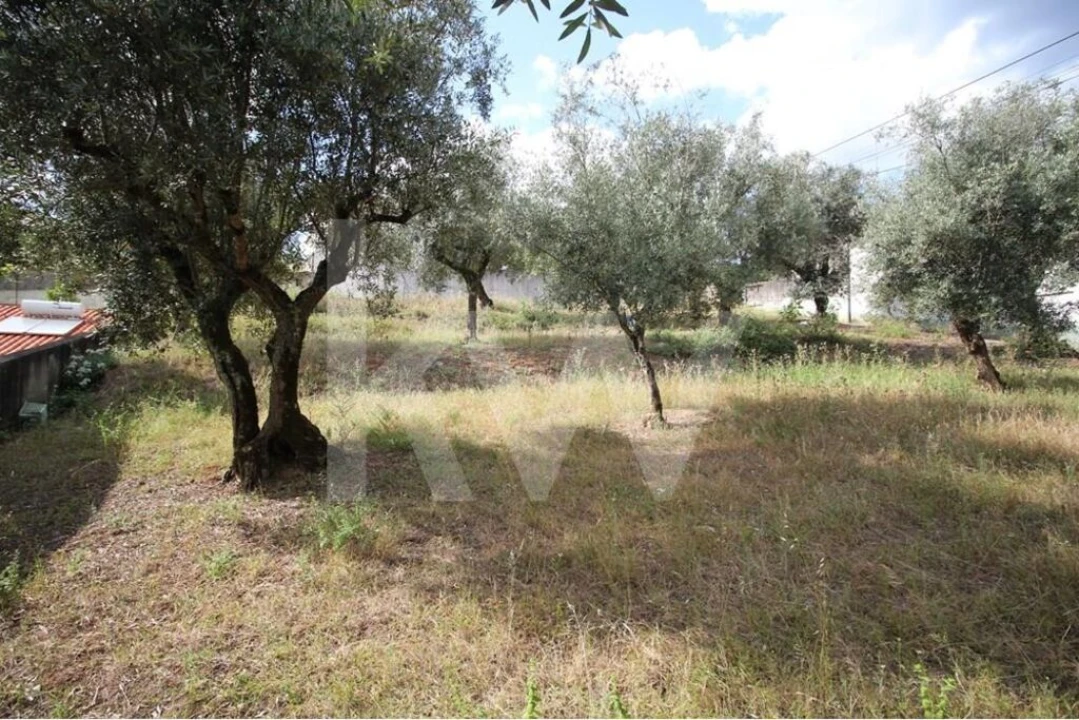 Terreno para Venda em Brasfemes Foto 1