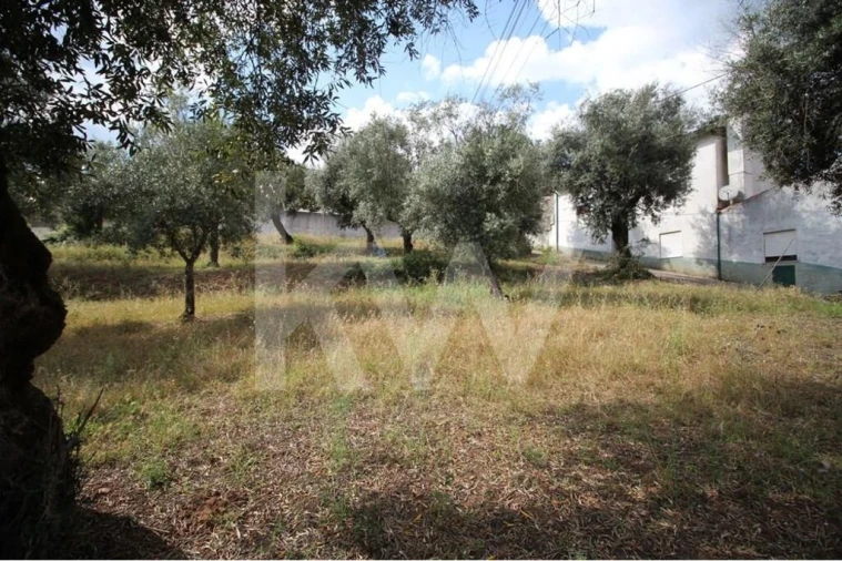 Terreno para Venda em Brasfemes Foto 2