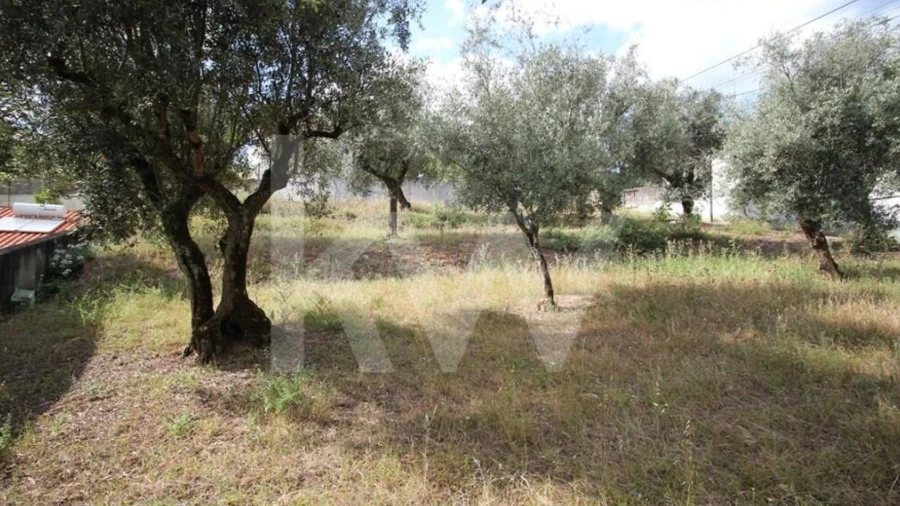 Terreno para Venda em Brasfemes