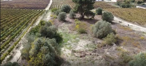 Terreno para Venda em Palmela