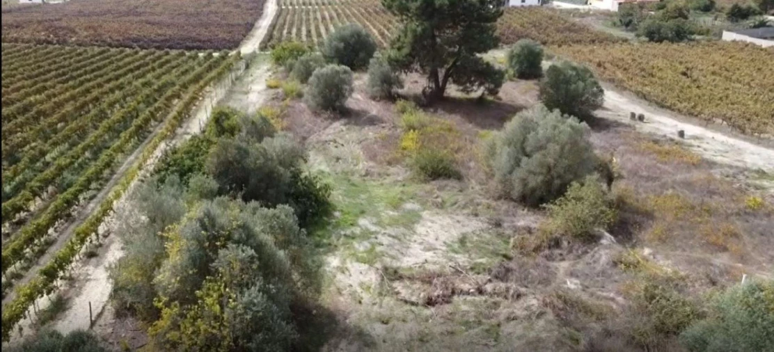 Terreno para Venda em Palmela Foto 7