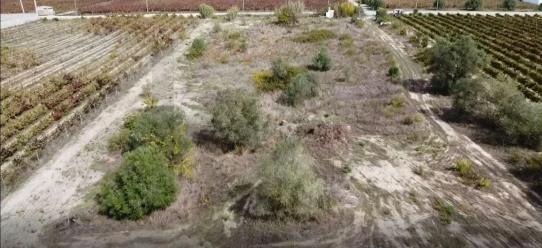 Terreno para Venda em Palmela Foto 14