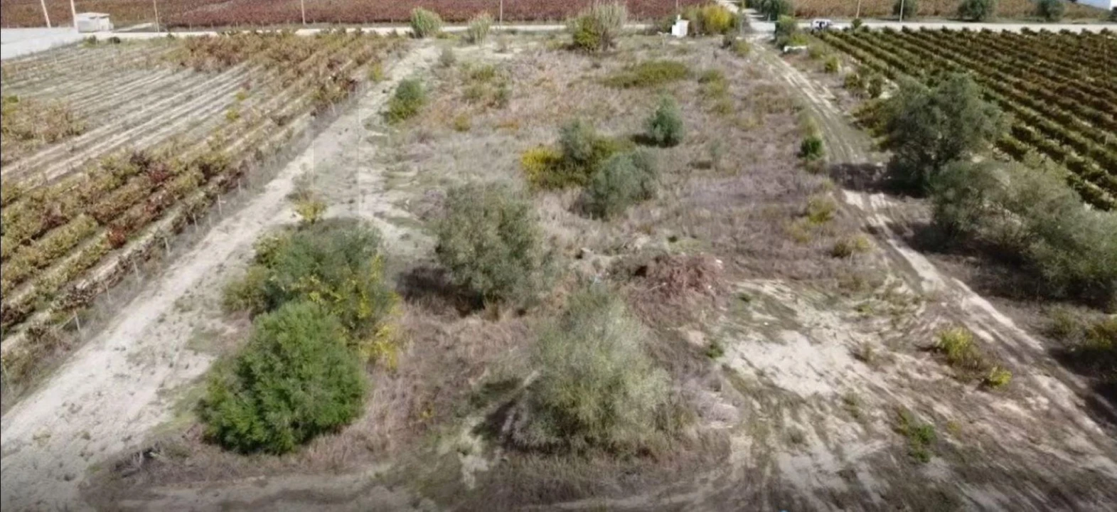 Terreno para Venda em Palmela Foto 14
