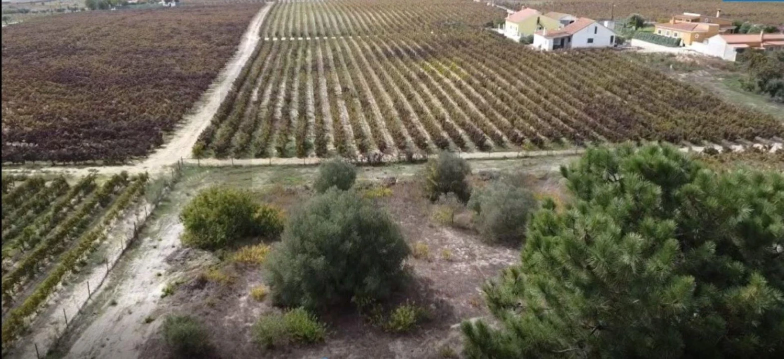 Terreno para Venda em Palmela Foto 8