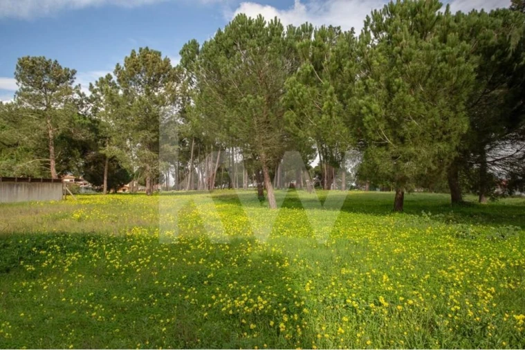 Negócio para Venda em Samora Correia Foto 88