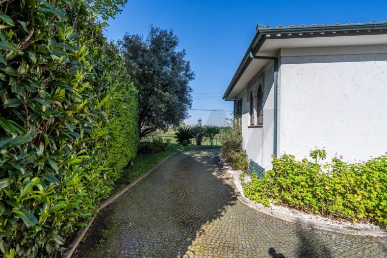 Moradia T3 para Venda em Guardizela Foto 22