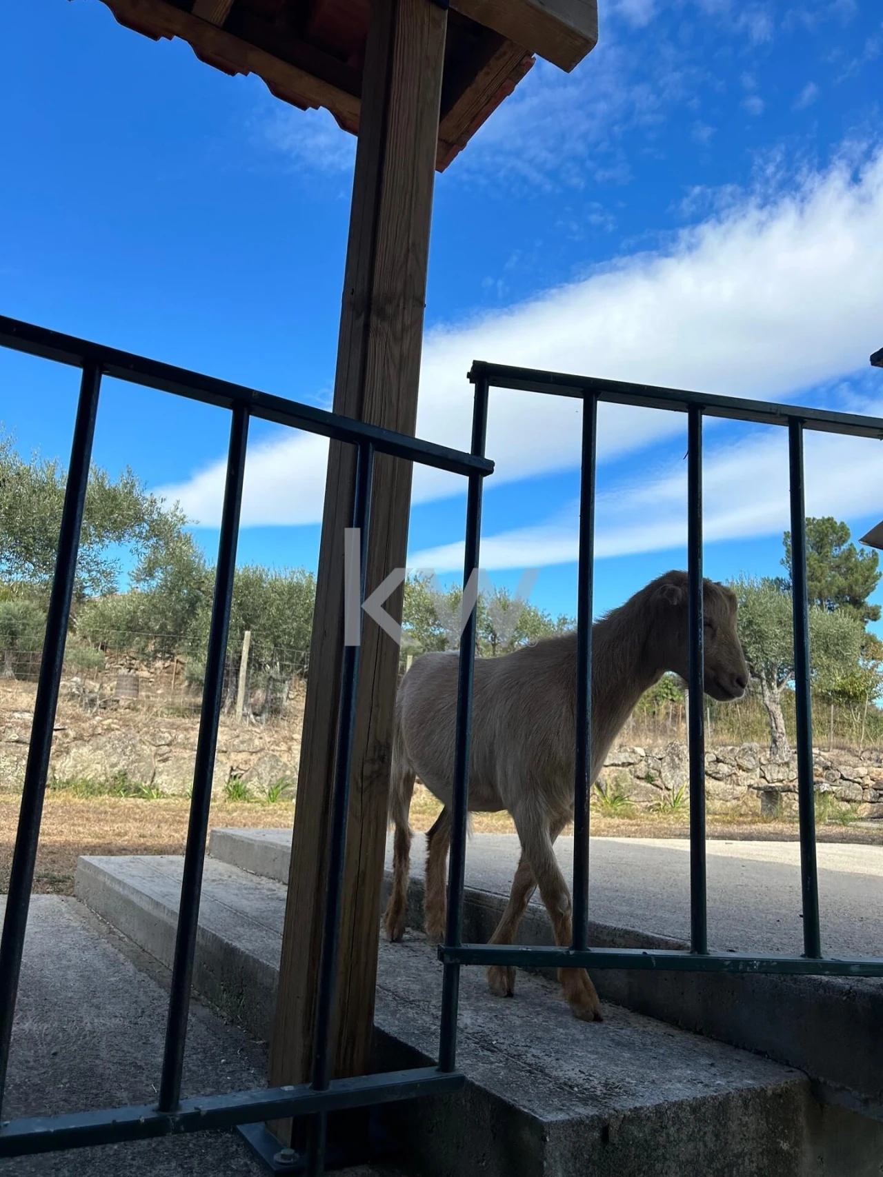 Terreno para Venda em Caria Foto 41