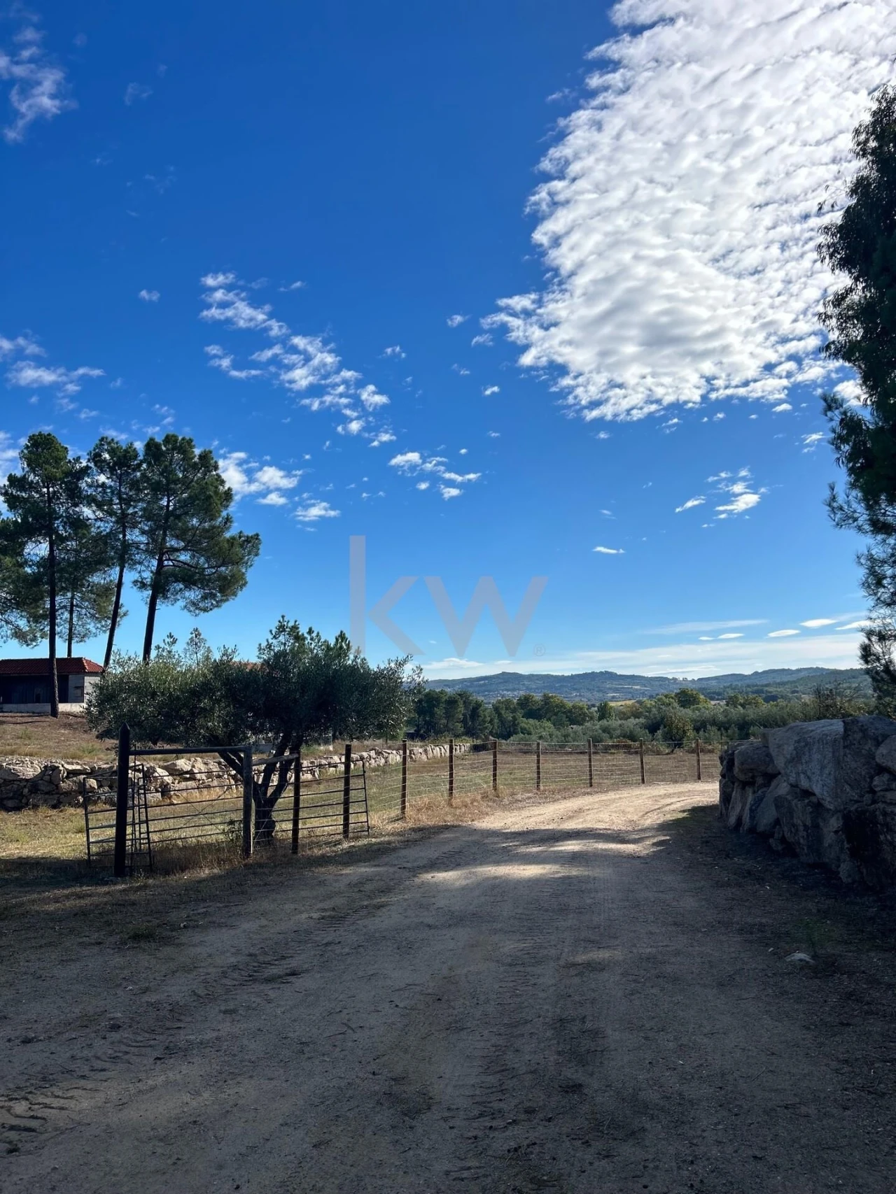 Terreno para Venda em Caria Foto 6