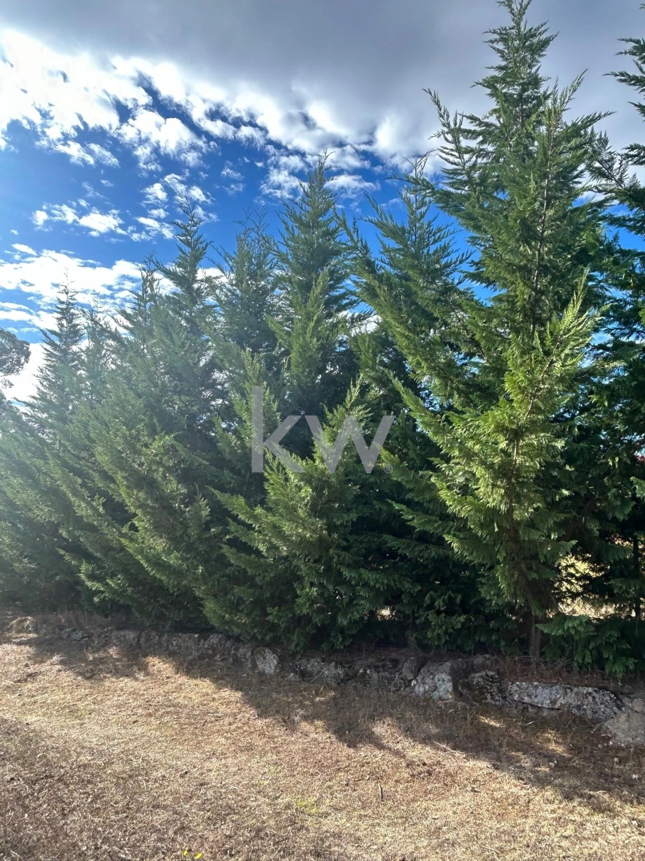 Terreno para Venda em Caria Foto 82