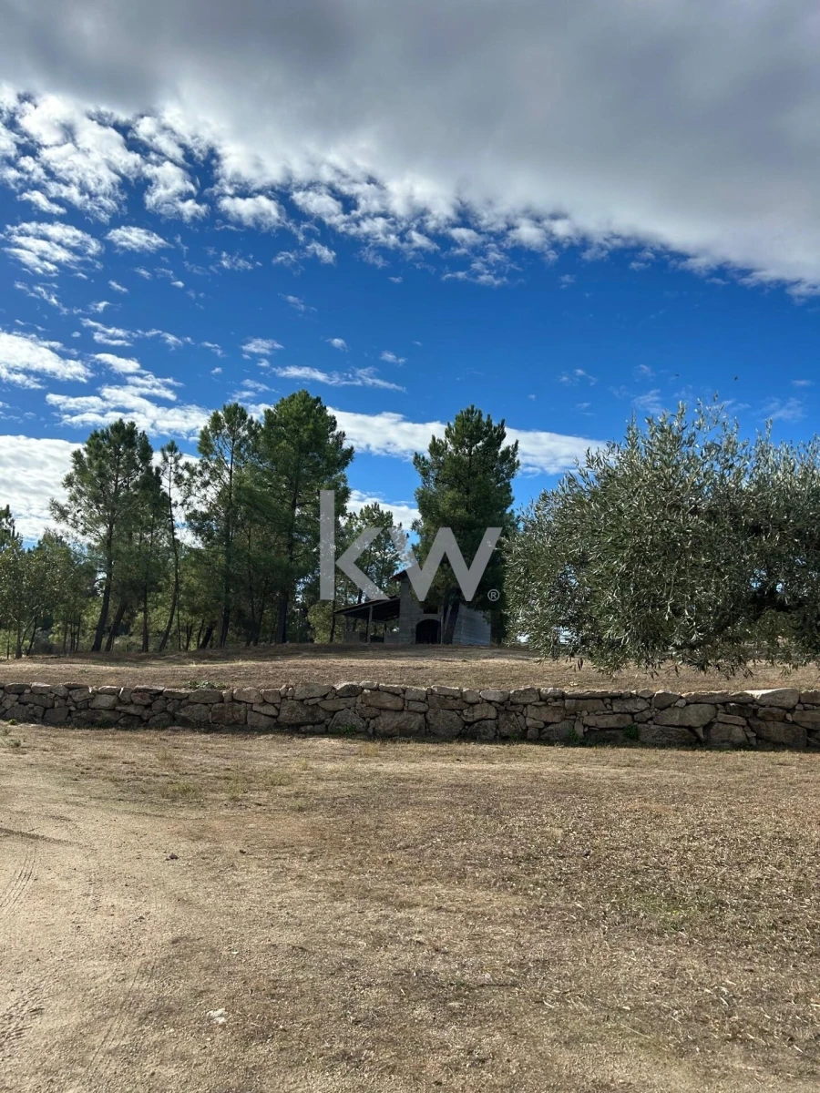 Terreno para Venda em Caria Foto 52