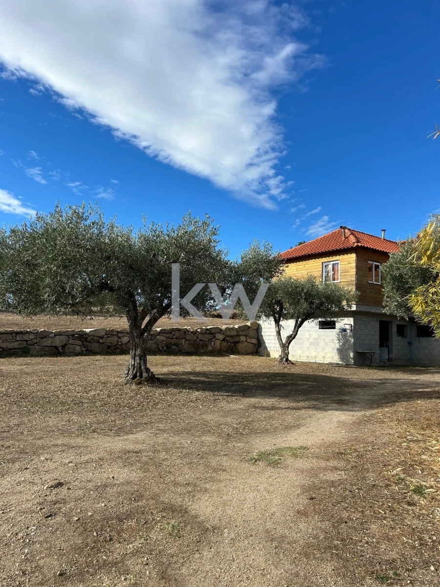 Terreno para Venda em Caria Foto 51