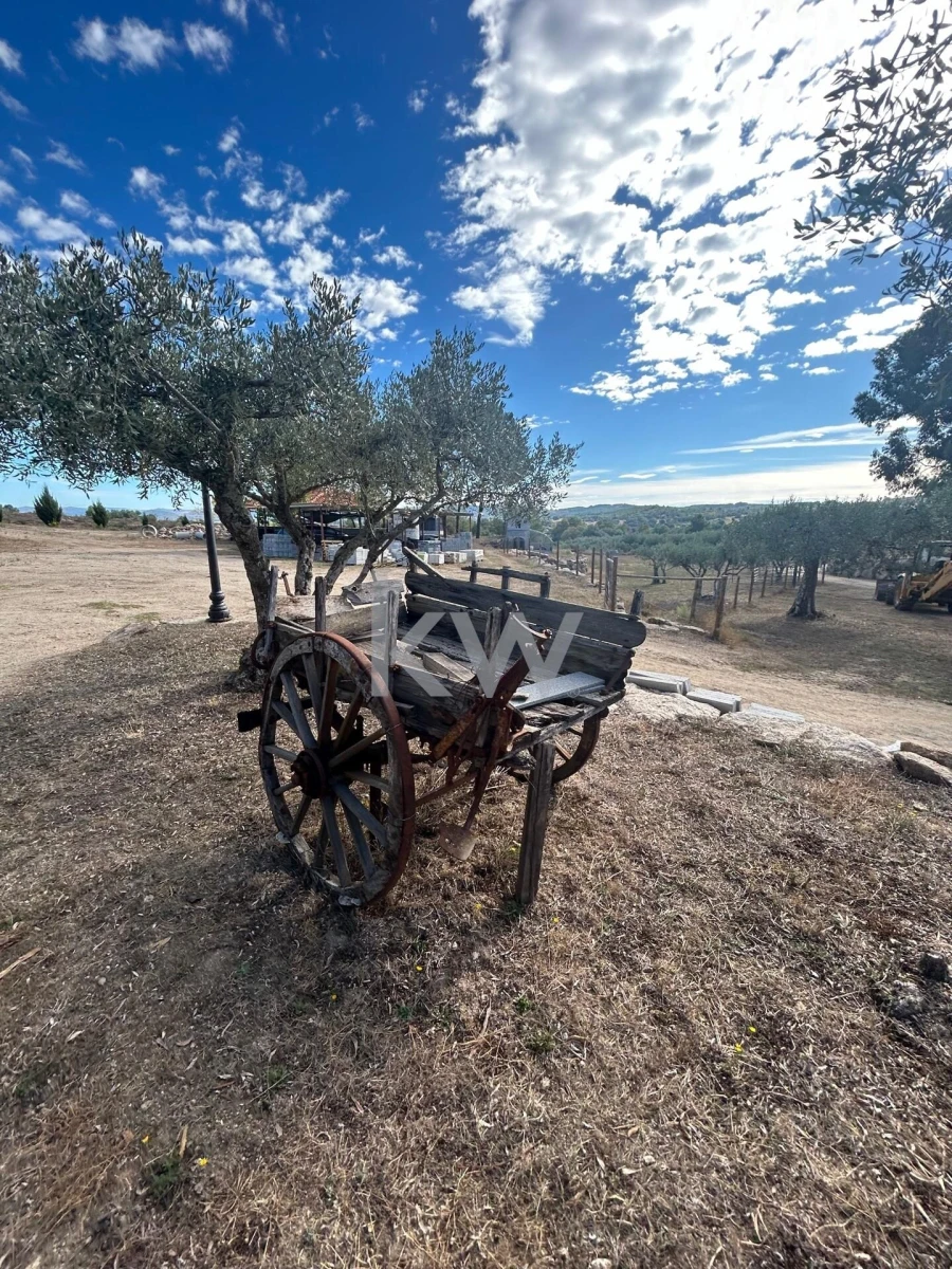 Terreno para Venda em Caria Foto 45