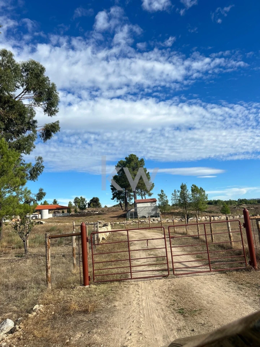 Terreno para Venda em Caria Foto 75