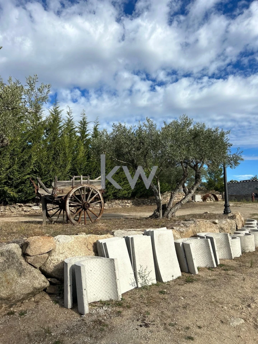 Terreno para Venda em Caria Foto 87