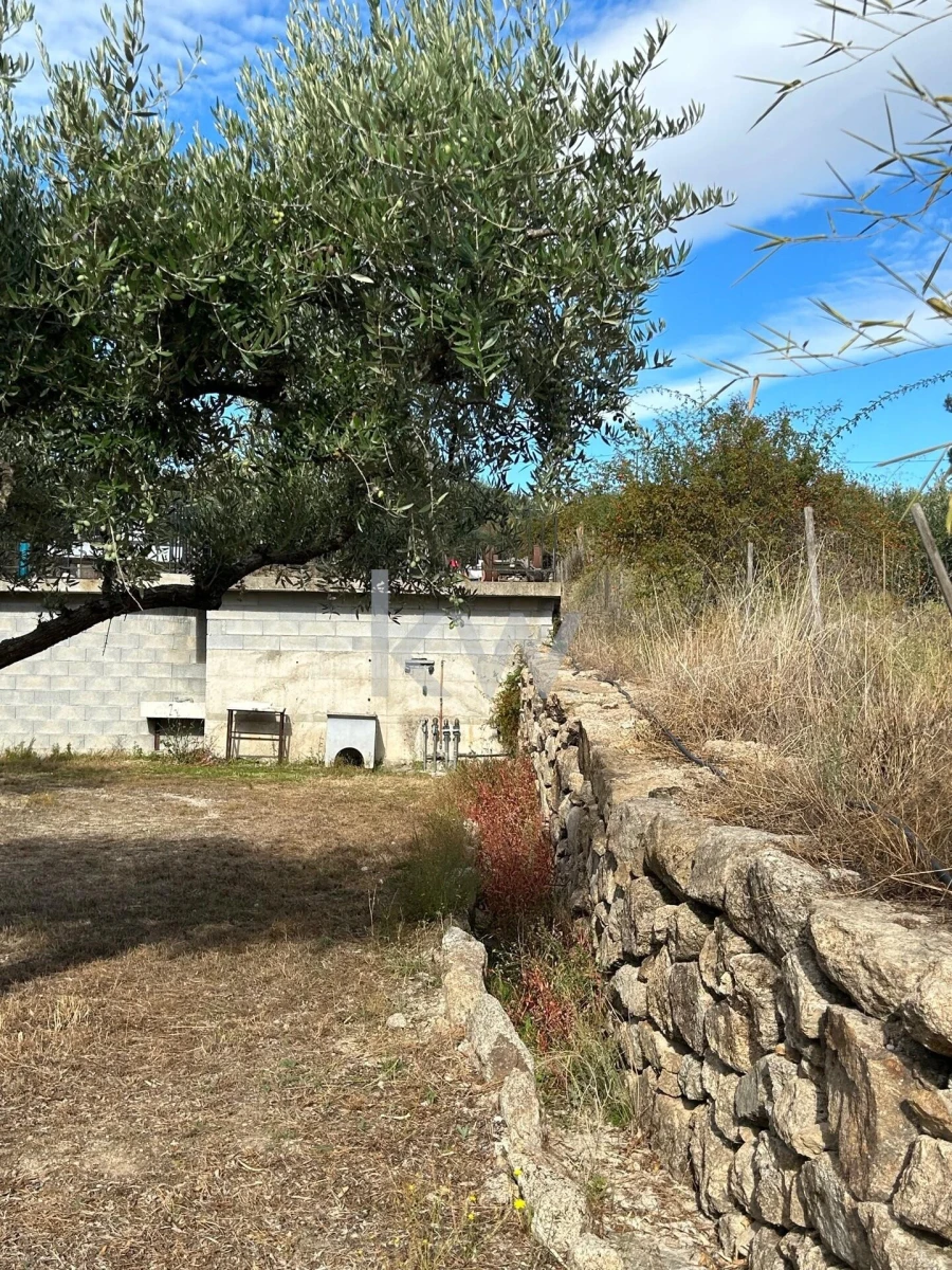 Terreno para Venda em Caria Foto 53