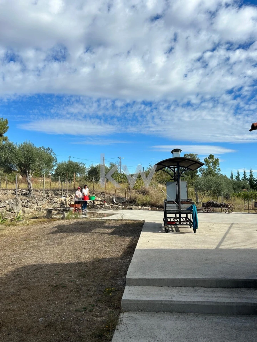Terreno para Venda em Caria Foto 54