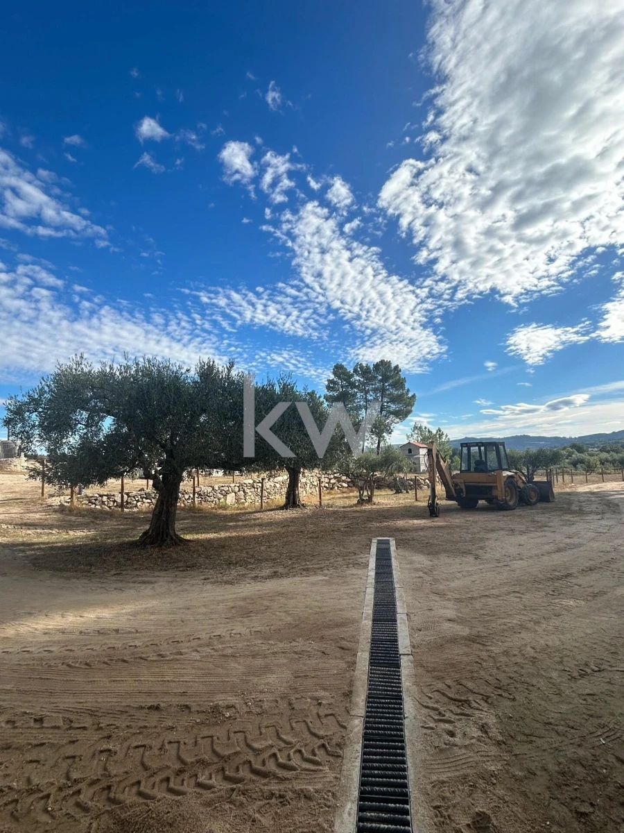 Terreno para Venda em Caria Foto 18