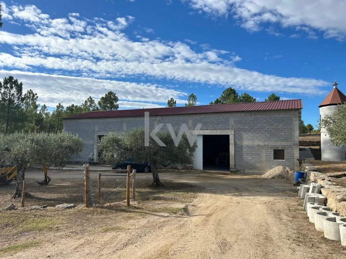 Terreno para Venda em Caria Foto 71