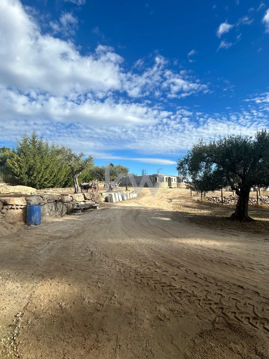 Terreno para Venda em Caria Foto 46