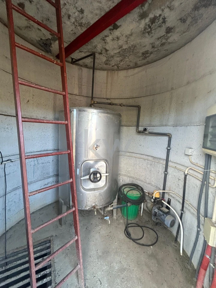 Terreno para Venda em Caria Foto 37