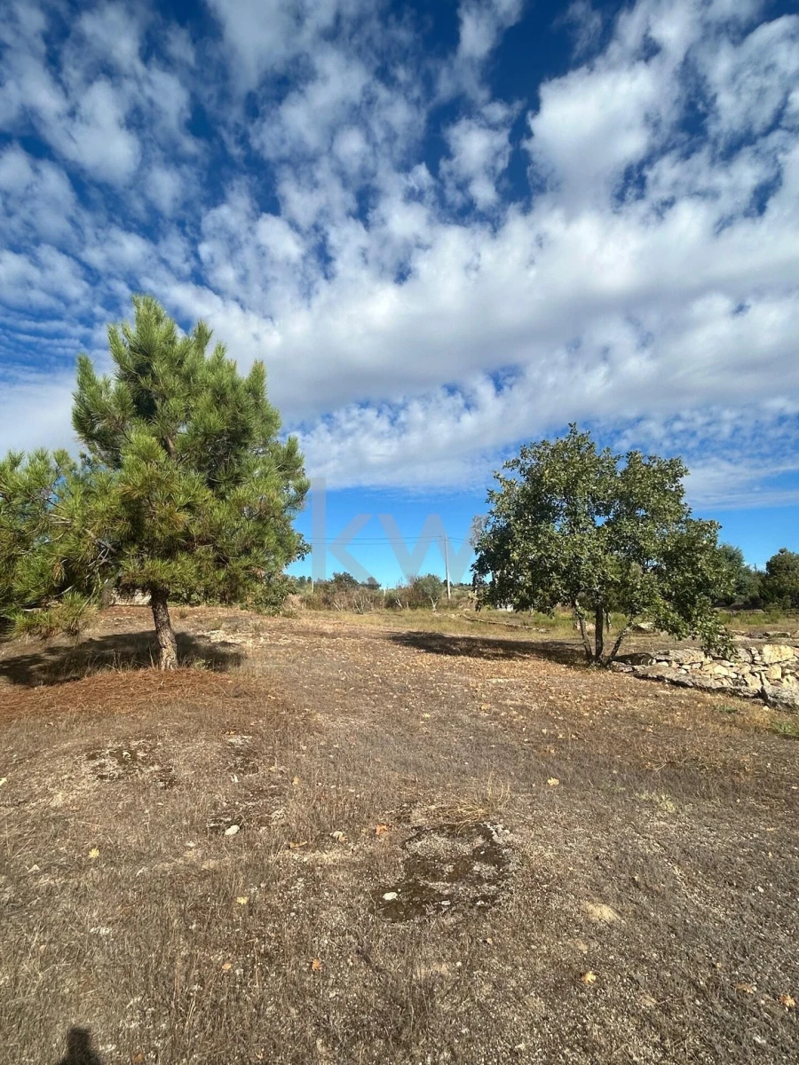 Terreno para Venda em Caria Foto 85