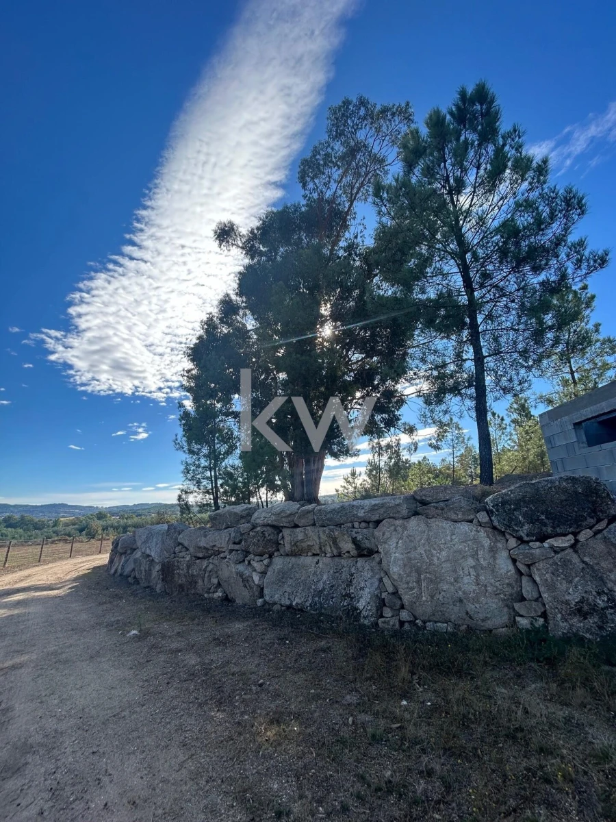 Terreno para Venda em Caria Foto 13