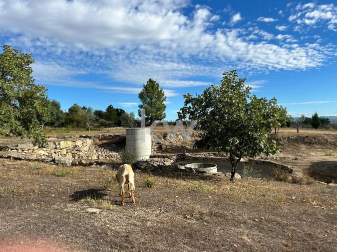 Terreno para Venda em Caria Foto 84