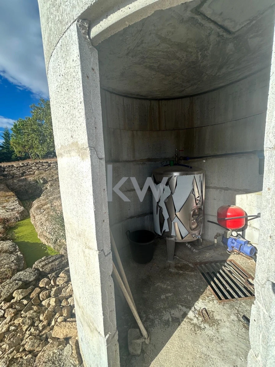 Terreno para Venda em Caria Foto 89