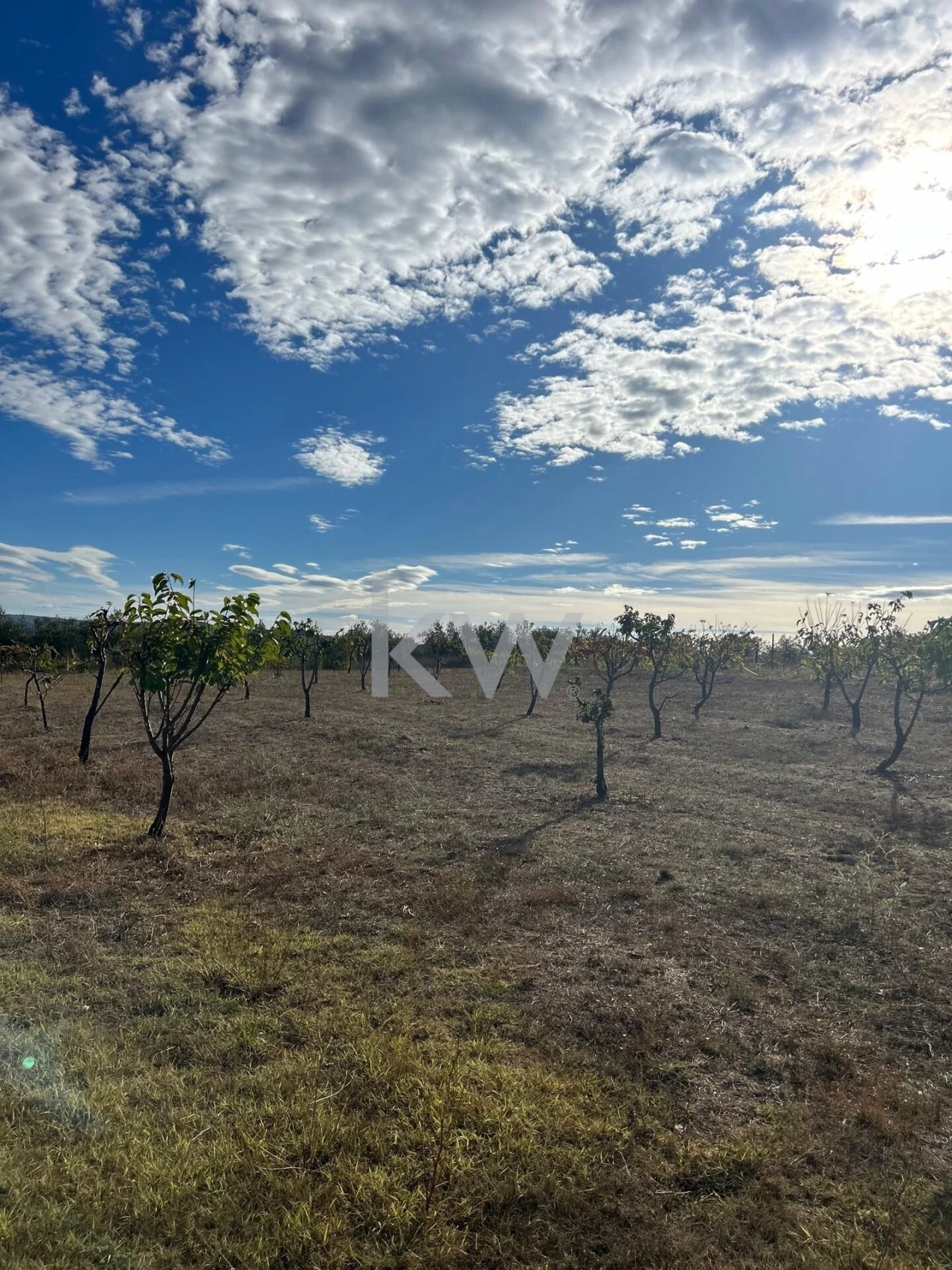 Terreno para Venda em Caria Foto 96