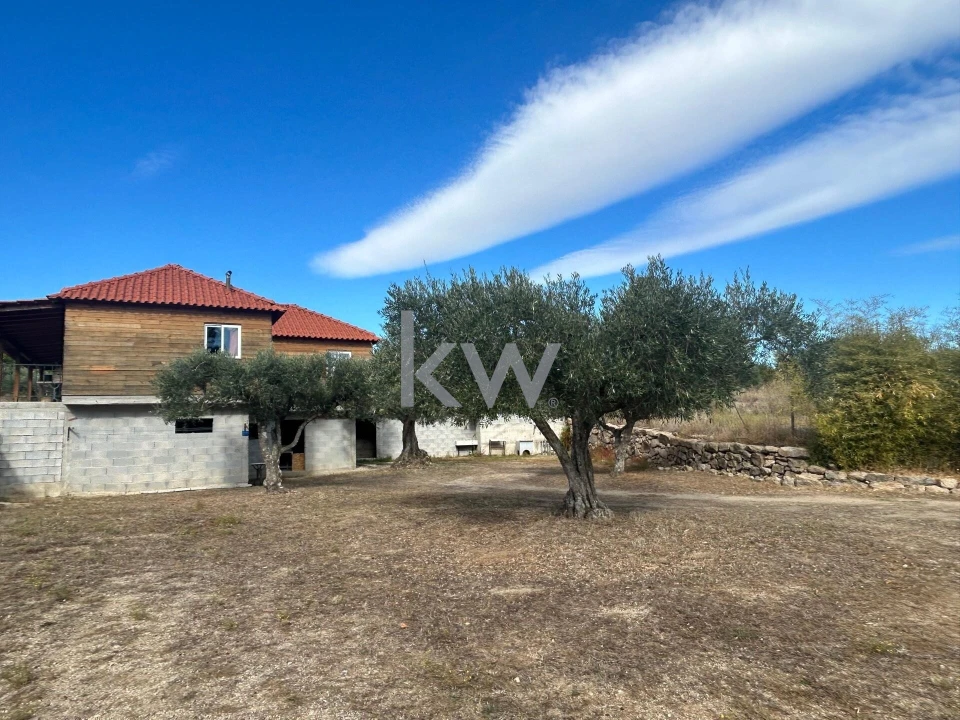 Terreno para Venda em Caria Foto 4