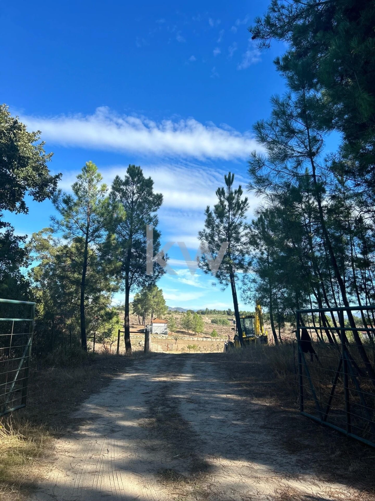 Terreno para Venda em Caria Foto 1