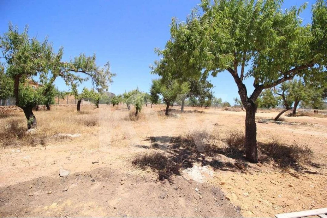 Moradia T7 para Venda em Alcantarilha e Pêra Foto 18