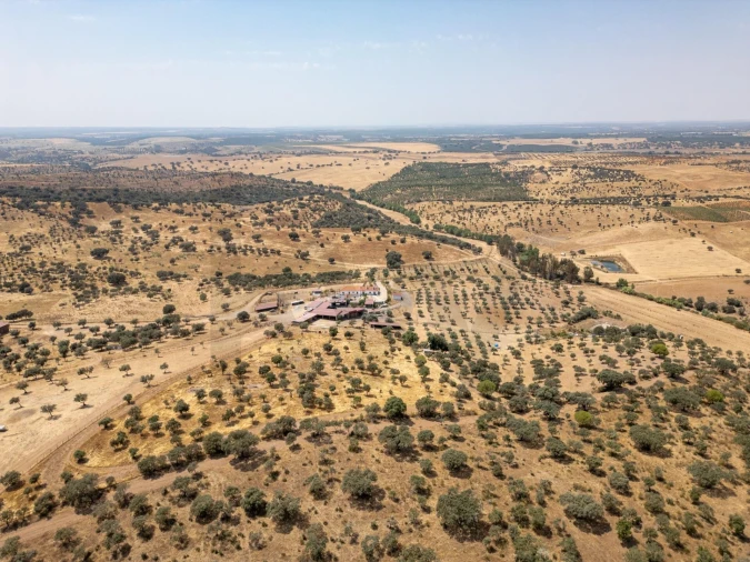 Quinta T2 para Venda em São Sebastião da Giesteira e Nossa Senhora da Boa Fé Foto 2