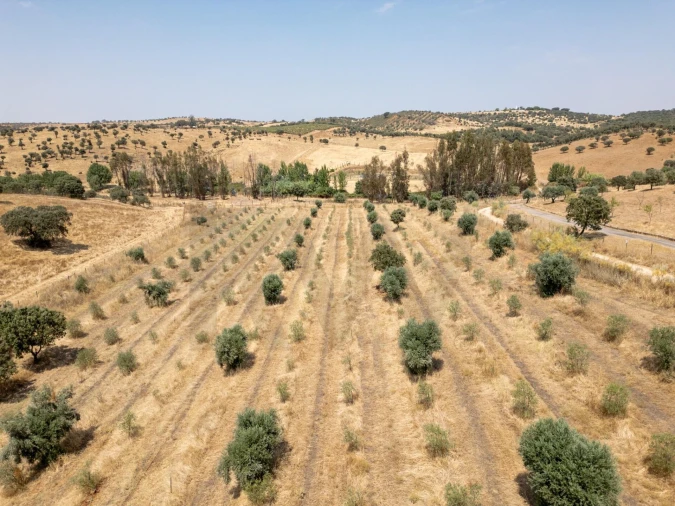 Quinta T2 para Venda em São Sebastião da Giesteira e Nossa Senhora da Boa Fé Foto 5