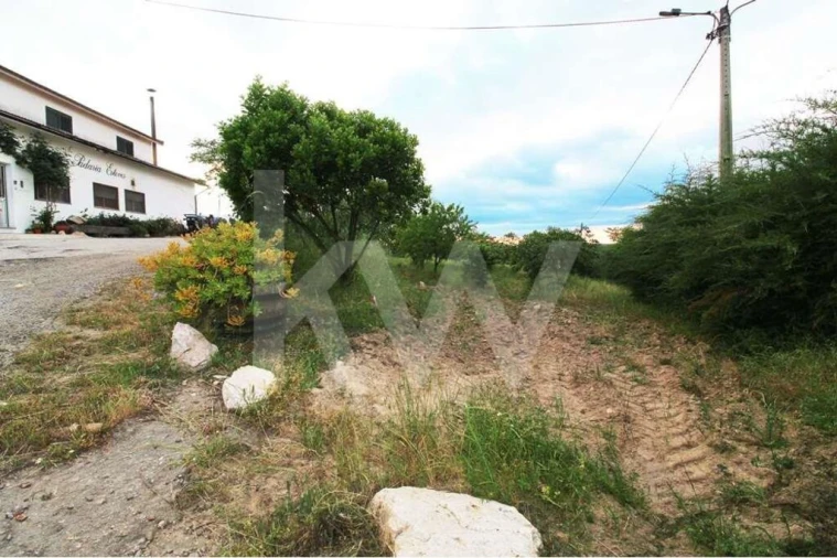 Moradia T5 para Venda em Lagoaça e Fornos Foto 6