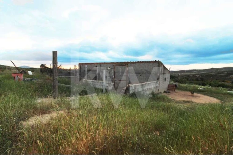 Moradia T5 para Venda em Lagoaça e Fornos Foto 10