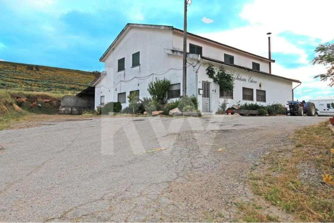 Moradia T5 para Venda em Lagoaça e Fornos Foto 3