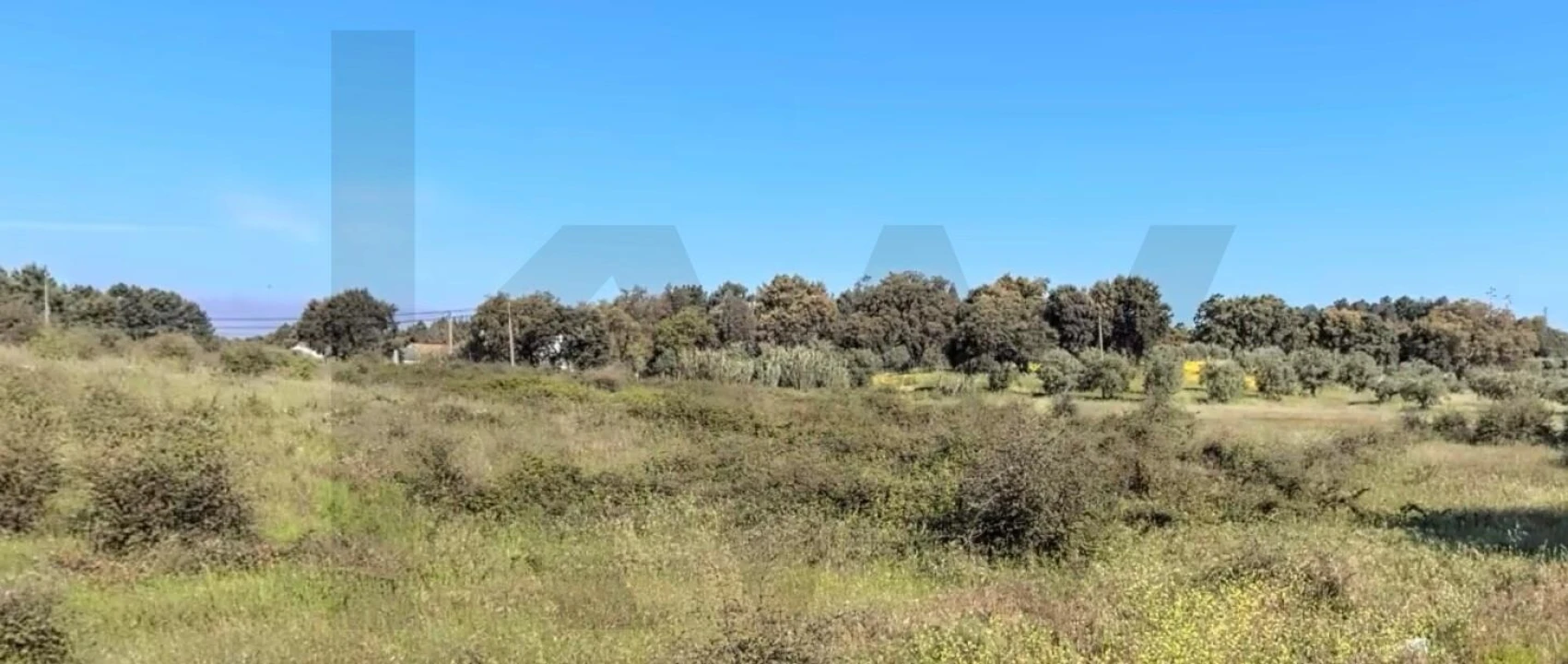 Terreno para Venda em Asseiceira Foto 5