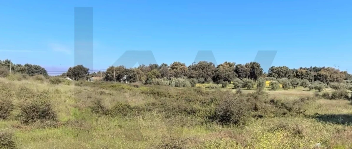 Terreno para Venda em Asseiceira Foto 9