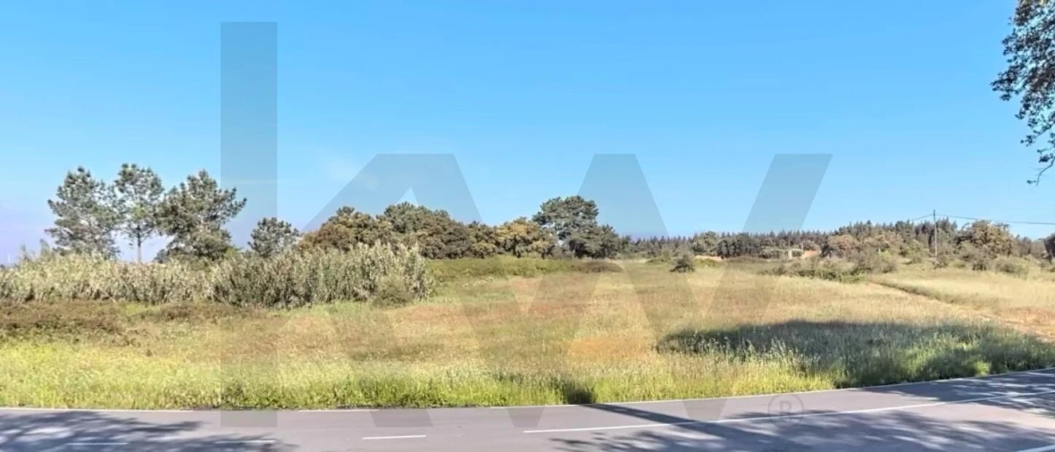 Terreno para Venda em Asseiceira Foto 4