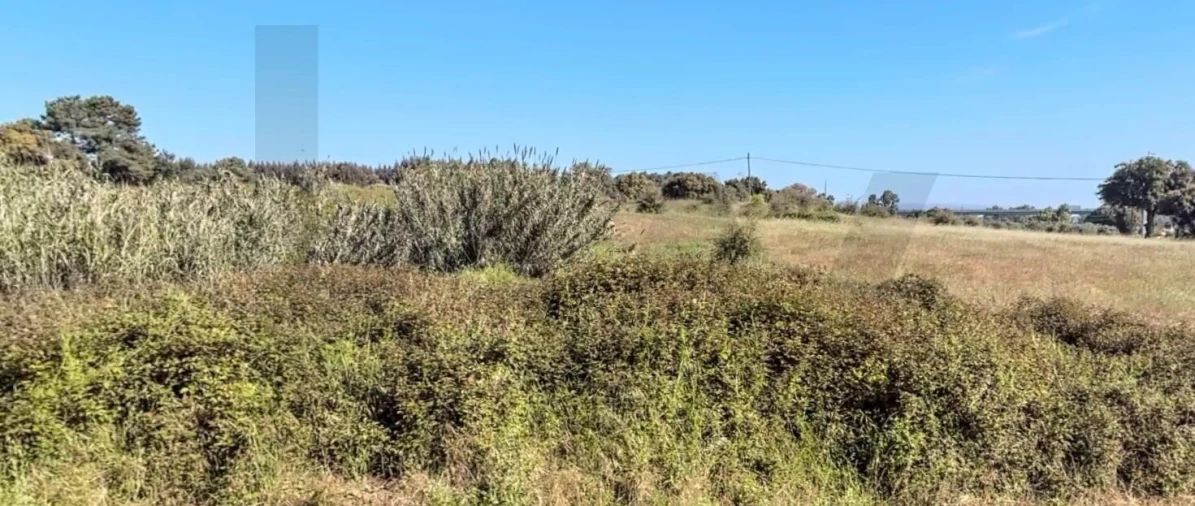 Terreno para Venda em Asseiceira Foto 13