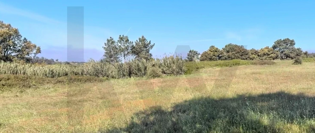 Terreno para Venda em Asseiceira Foto 15