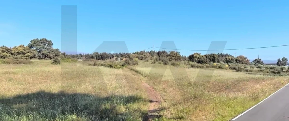 Terreno para Venda em Asseiceira Foto 3