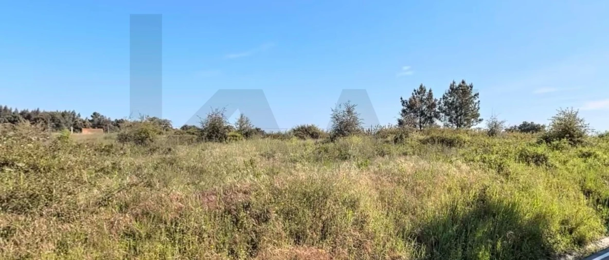 Terreno para Venda em Asseiceira Foto 8