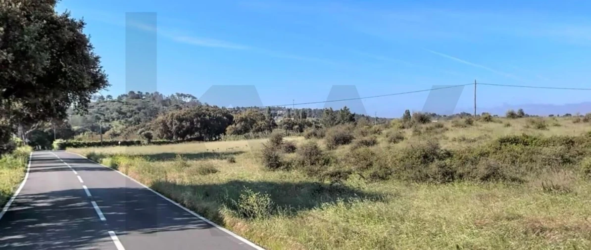 Terreno para Venda em Asseiceira