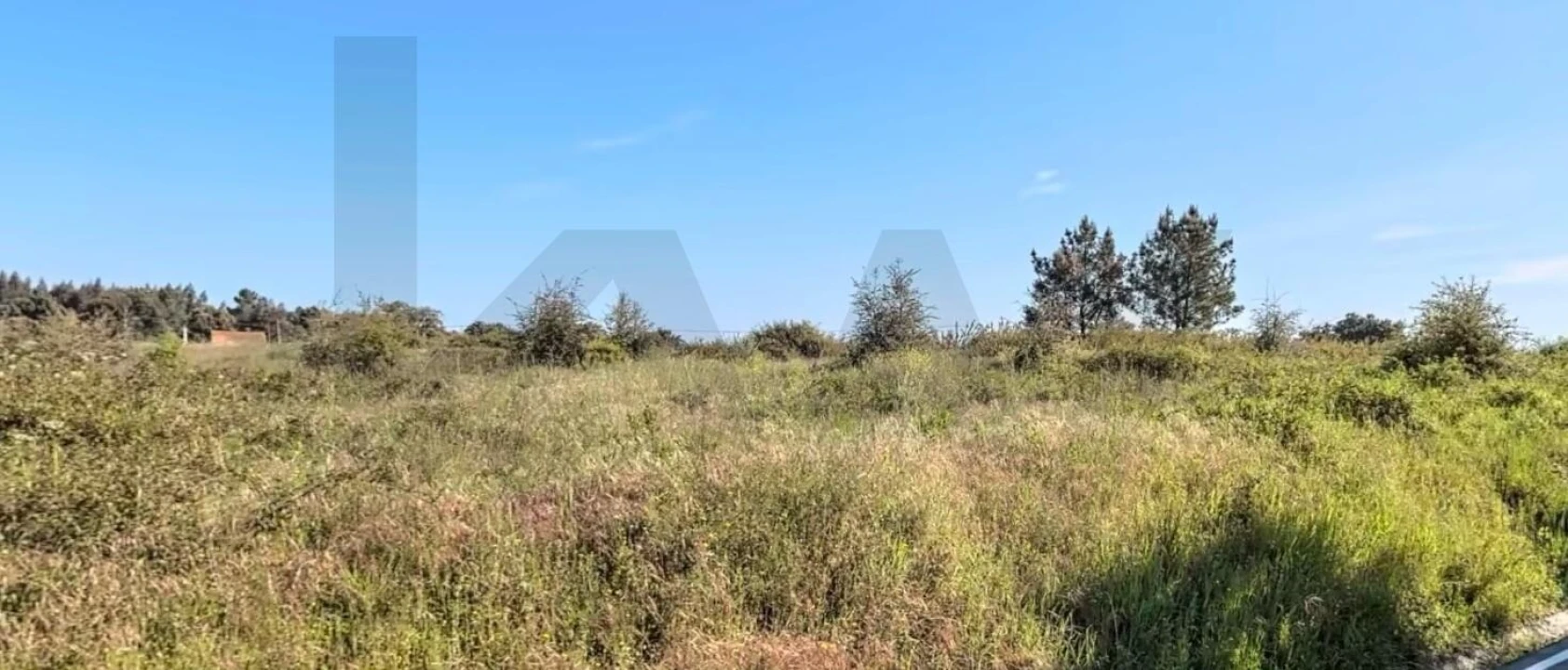 Terreno para Venda em Asseiceira Foto 8