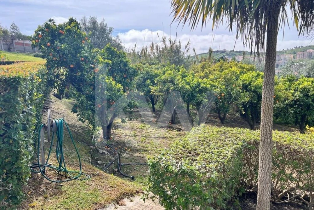 Moradia T5 para Venda em Vila Franca de Xira Foto 23