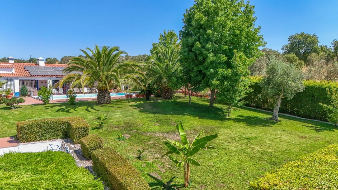 Quinta T5 para Venda em Santiago do Escoural Foto 45