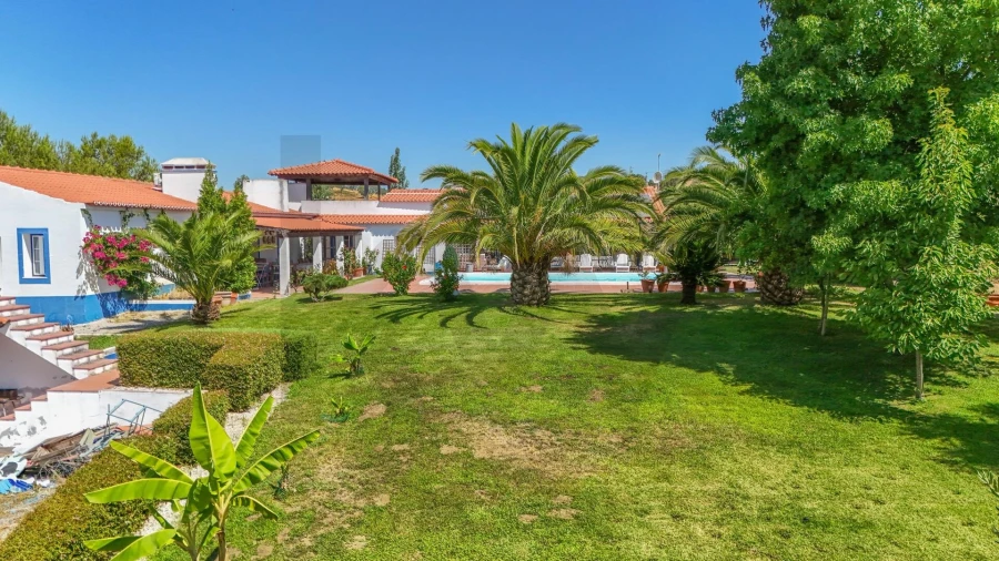 Quinta T5 para Venda em Santiago do Escoural Foto 43